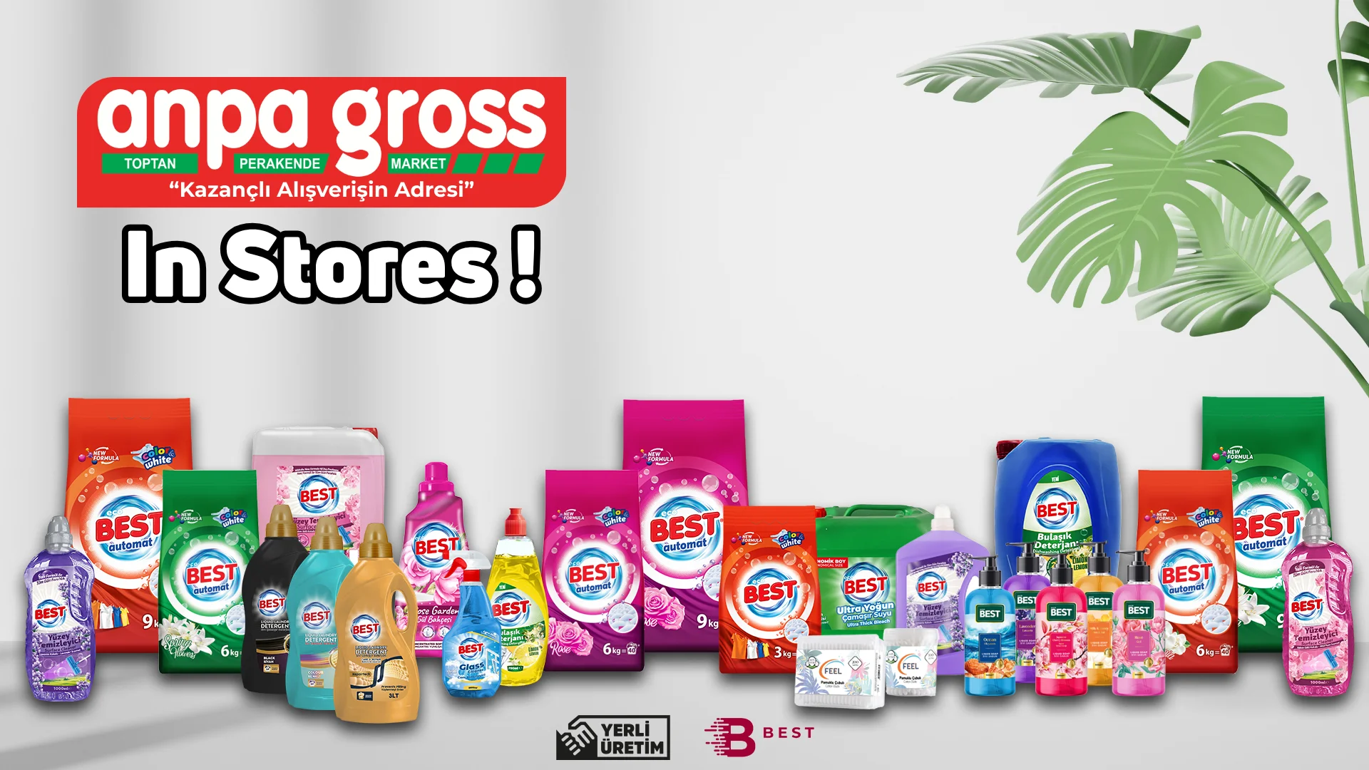 anpagros-banner-ing